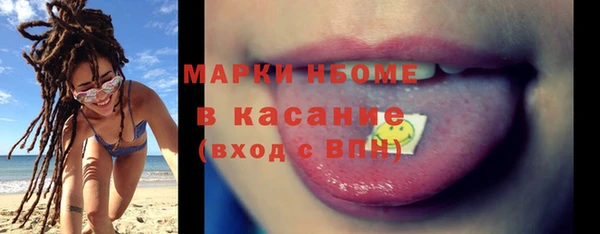 индика Аркадак