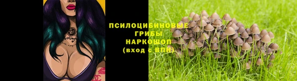 индика Аркадак