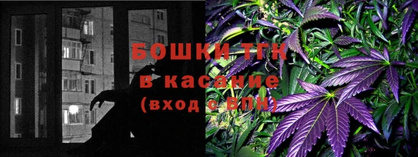 стафф Арсеньев