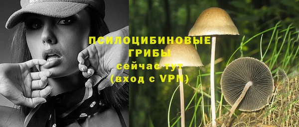 индика Аркадак