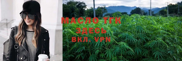индика Аркадак