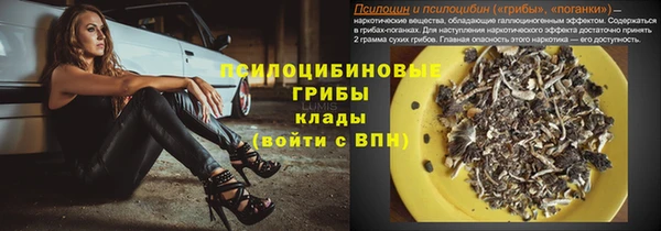 индика Аркадак