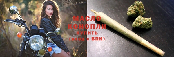 индика Аркадак