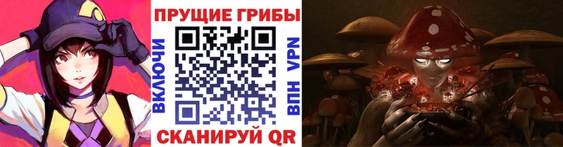 Галлюциногенные грибы ЛСД  KRAKEN зеркало  Пустошка 